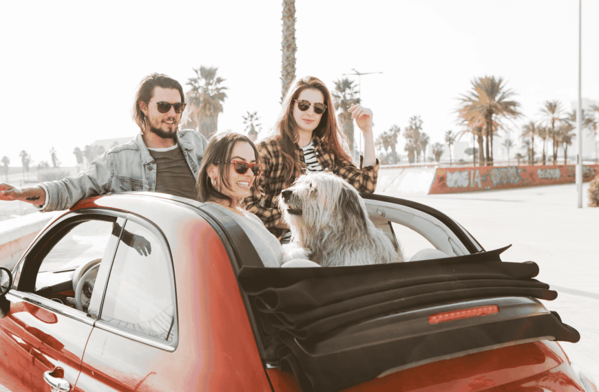 marché des voitures d’occasion à Marrakech