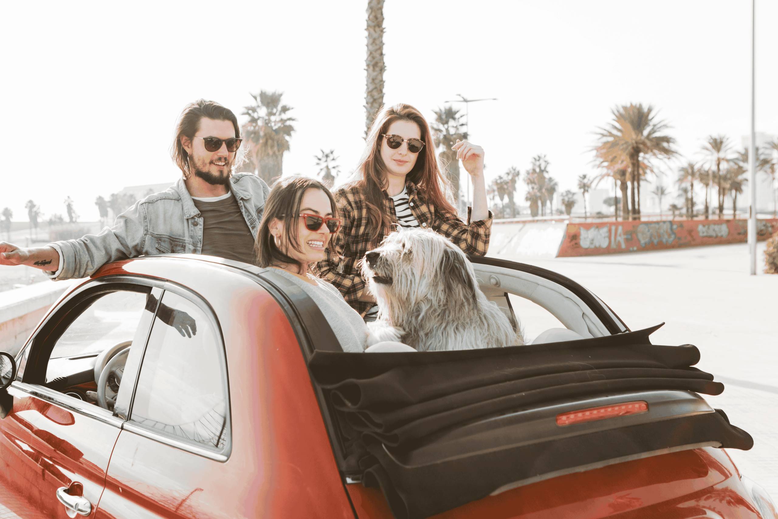 marché des voitures d’occasion à Marrakech
